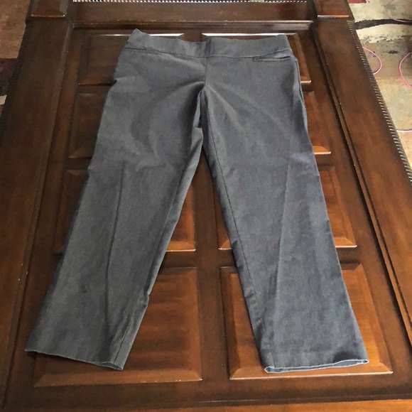 Woman’s Terra & Sky size 14W gray slacks with front pockets and tummy control - Picture 1 of 12